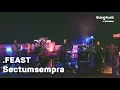 Download Lagu .Feast - Sectumsempra (with Lyrics) | BukaMusik