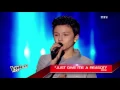 Pink – Just Give Me A Reason| Adrien | The Voice Kids 2014 | Blind Audition