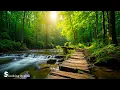 Download Lagu Beautiful Relaxing Music – Healing Music for Your Heart and Mind