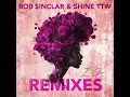 I Go (Paradise Remix) - Bob Sinclar & Shine TTW
