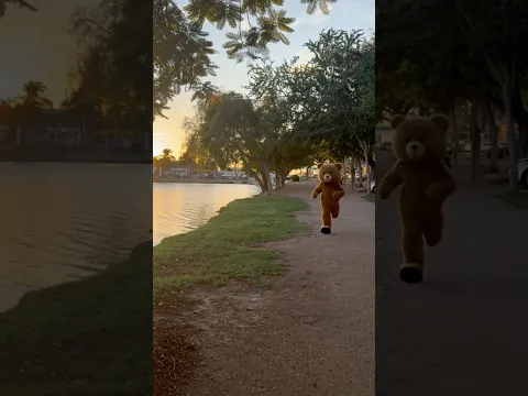 Me persiguió el Oso AmorOso 😩