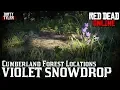 RDR2 Violet Snowdrop Locations Cumberland Forest Red Dead Redemption 2 Online