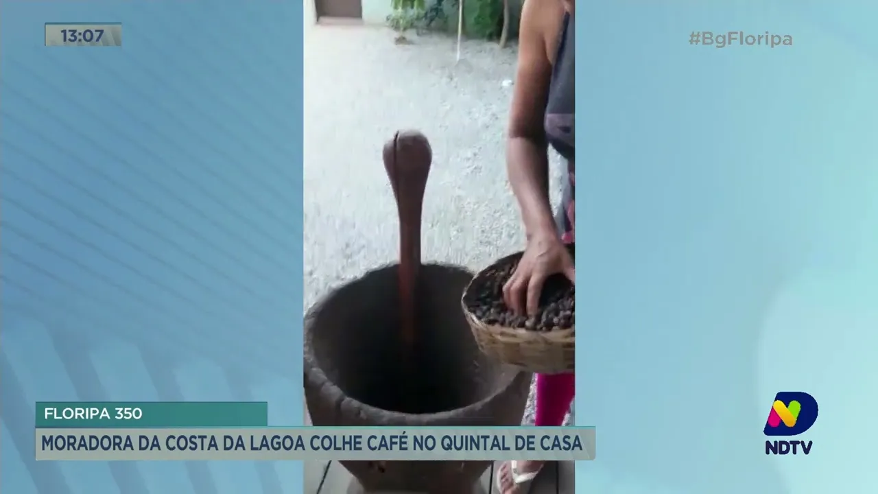 Moradora da Costa da Lagoa, em Florianópolis, colhe café no quintal de casa