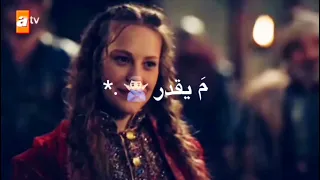                              زواج تورغوت وماري كل الحلا ساكن فيك  دندنها