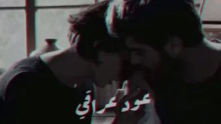 عود عراقي أشوفك بعيني ذهب والناس فضه 