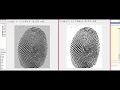 Global Threshold Image segmentation