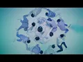 Download Lagu [ETC]SEVENTEEN - 「舞い落ちる花びら (Fallin' Flower)」パフォーマンス映像 （「Love music」放送）