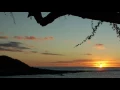 SLEEPWALK - Santo and Johnny [HD]