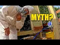 When to Stain New Pressure Treated Wood
