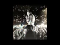 Mr Kitty - Crawling Linkin Park Cover