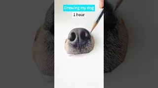 How to draw a dog MEGA REALISTIC