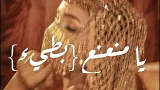 يا بتاع النعناع يا منعناع  يا منعنع بطيء  مصطفى حجاج  دندنها