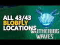 All Blobfly Locations Wuthering Waves