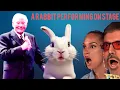 Download Lagu first rabbit to play an instrument AGT everything one felt sad