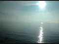 The Rurals feat. Lisa Luscious Tai - Dreams Come True