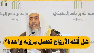 هل الألفة في حديث الأرواح جنود مجندة تحصل من أول رؤية أم مع المداومة الشيخ صالح العصيمي 