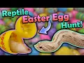 Download Lagu Our Reptiles go on an Easter Egg Hunt!!