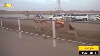 الشوط 4 شاهين لـ سيف معيوف سالم الدرعي شارة الصنوق السبت 2018 05 26 الرقيعات حقايق 