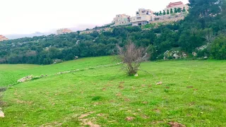 ارضنا الجميلة فلسطين ארצנו היפה פלסטין 