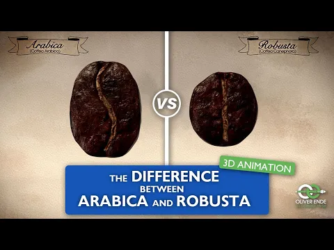 Download MP3 The differences between Arabica and Robusta coffee