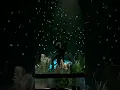 (豎屏)陳立農-深圳站 完美獵人+還愛著你+委曲求全 250822