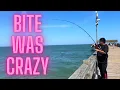 Every Cast Was INSANE Tybee Island Pier Fishing Gone Wild 2025