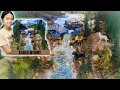 How to Make a Shoe Box Diorama - Taiga Biome Boreal Forest School Project