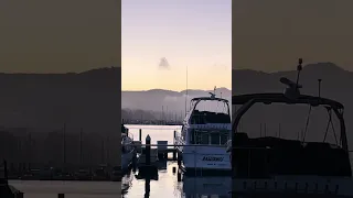 #fyp #sailing #boat #dream #viralshorts #trending #vlog