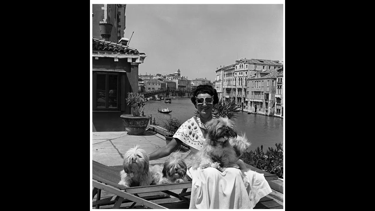 Virtual Trip to Peggy Guggenheim Collection, Venice (Pollock Krasner Zoom)