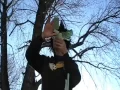 Quadrilateral Rap