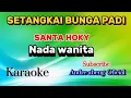 Download Lagu KARAOKE - SETANGKAI BUNGA PADI|| SANTA HOKY|| DUT BAND|| NADA WANITA|| LIRIK 