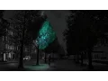 Download Lagu Glow-in-the-dark trees could replace street lights says Daan Roosegaarde