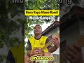 Download Lagu Nona Ropo Mawe Rowit💃💃