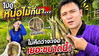 ไปดูหน่อไม้ที่นาไม่คิดว่าจะเจอเยอะขนาดนี้!!￼￼