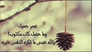 يانور على نور  عمرو دياب  دندنها