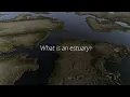 Outer Banks Ecosystems Estuaries