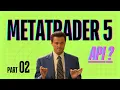 Turn MetaTrader 5 into a REST API - MT5 Quant Server with Python Tutorial Series