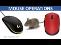 MOUSE OPERATIONS ICT FOR CHILDREN LEARN ABOUT COMPUTER MOUSE