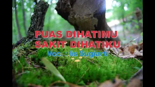 iis sugiarti puas dihatimu sakit dihatiku audio lyrics
