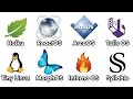 Every illegal OS Microsoft don t want You To Know about