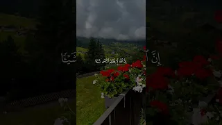 افأنت تهدي العمى محمد ديبيروف 