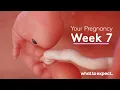 Lagu 7 Weeks Pregnant - What to Expect