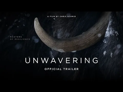 Unwavering | Official Trailer | a film by Chris Schmid