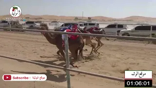 الشوط 1 الشاهينيه لـ سيف سالم سيف الدرعي 2 12 57 شارة الصندوق 2021 3 6 الرقيعات فطامين 