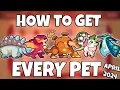 Prodigy Math Game How to Obtain EVERY Pet in Prodigy April 2024