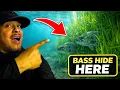 How Bass Hide in a 7ft Deep Lake Ascarate Lake Secrets