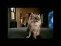 Download Lagu 101 Dalmatians (1996) Teaser Trailer UK VHS