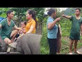 Download Lagu Flood sweeps through farm \u0026 washes away bamboo bridge - husband catches big fish in mother's pond