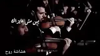 ايوا بحبك اوي بس مش عايزاك    دندنها