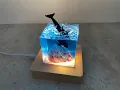 Download Lagu Orcas in the ocean have seen a large red conch production tutorial